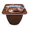 Danette Chocolate Pudding - 100 gram