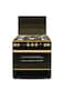 Top Gas Professional Gold Gas Cooker with Fan 60*80