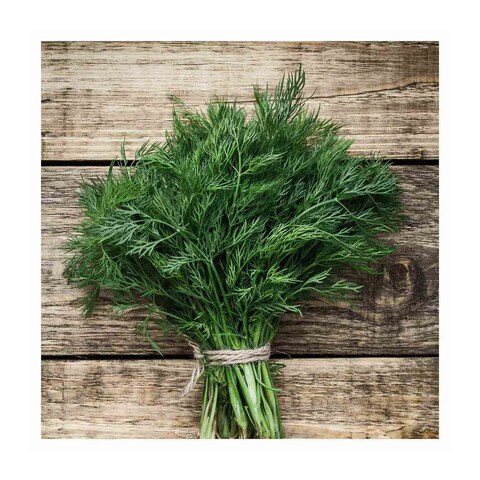 Bio Dill - 100gm