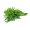 Bio Dill - 100gm