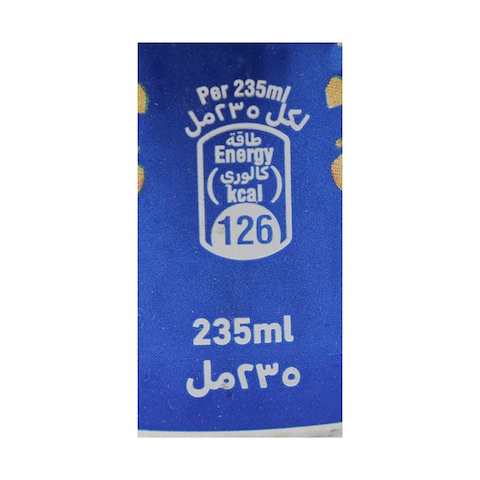 Rani Float Fruit Cocktail Juice- 235 Ml