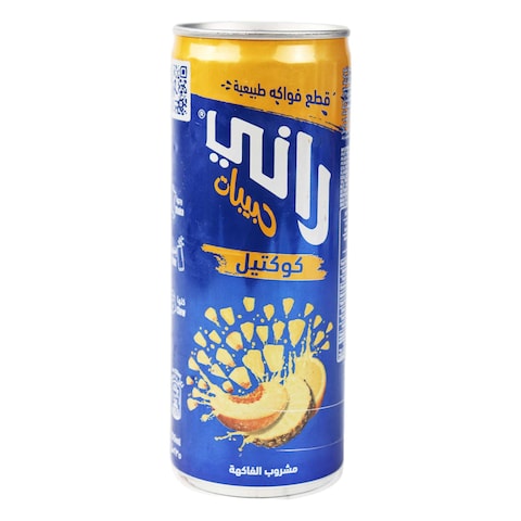 Rani Float Fruit Cocktail Juice- 235 Ml