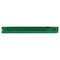 Chiclets Mint Gum - 10 Pieces