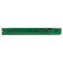 Chiclets Mint Gum - 10 Pieces