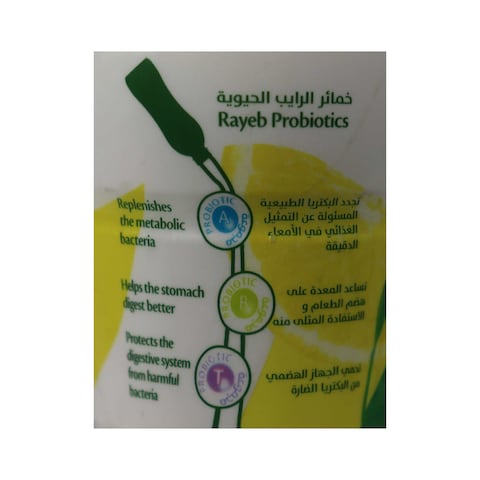 Juhayna Rayeb Milk with Green Tea - 440 ml