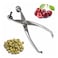 PEDRINI OLIVE/CHERRY PITTER