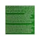 Big Green Apple Carbonated Soft Drink - 1.25 Liters