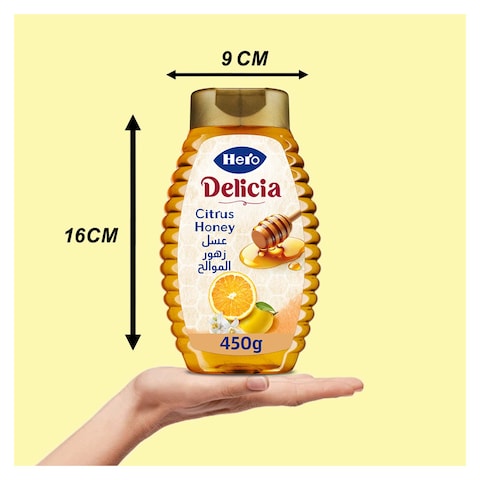 Hero Delicia Citrus Honey Squeeze - 450 gm