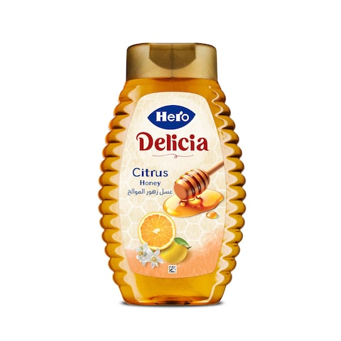 Hero Delicia Citrus Honey Squeeze - 450 gm