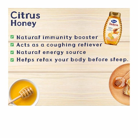 Hero Delicia Citrus Honey Squeeze - 450 gm