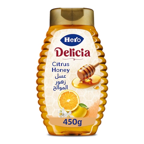 Hero Delicia Citrus Honey Squeeze - 450 gm