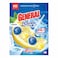 General Power Active Toilet Cleaning Blocks with Lemon Scent