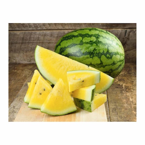 Yellow Watermelon