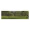 Funday Marble Cake Slice -  12 Pieces