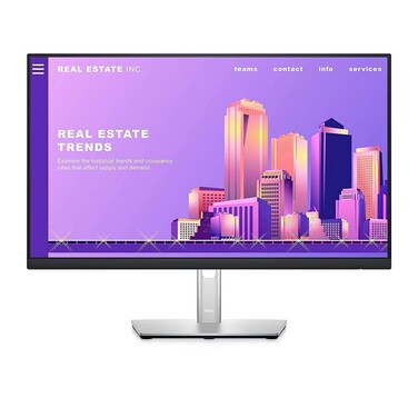 Dell 24 Monitor - P2422H