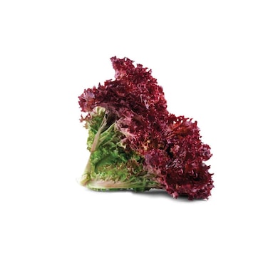 خس لولو روسو أحمر بيكو - 1 قطعة