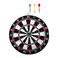 Hard Dartboard Size 17 + Darts