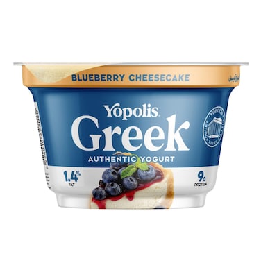 Yopolis Greek Yogurt Blueberry Cheesecake - 150g