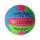 Volleyball Ball