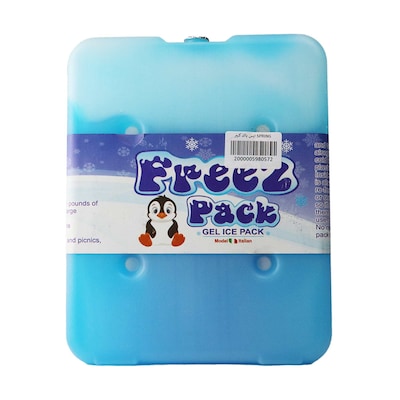 Buy ICE PACK -SPRING BIG Online Carrefour Egypt