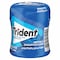 Trident Mint Chewing Gum - 60 Pieces