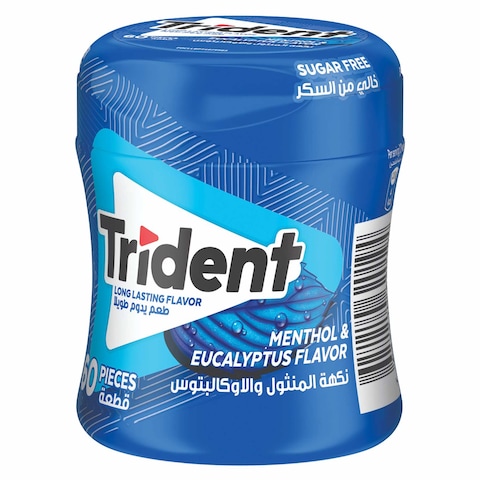 Trident Mint Chewing Gum - 60 Pieces