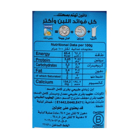 Danone Natural Yogurt - 100 gram - 12 Count