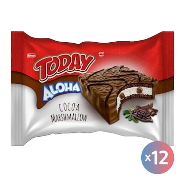 كيكة الشوكولاتة توداي ألوها بالمارشميلو- 40 جرام