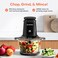Nutricook Electric Food Chopper &amp; Mincer, 2L Glass &amp; 2L Stainless Steel Bowl, 500W, 2 Speeds, 2x 4-Blade set for Onion &amp; Vegetable Chopping, Meat Mincing, Ice Crushing, Grinding, Puree