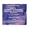 Big Chips Salt &amp; Vinegar Chips - 80 gram