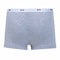 Jil Boxers for Men 3-inch - Grey - XS