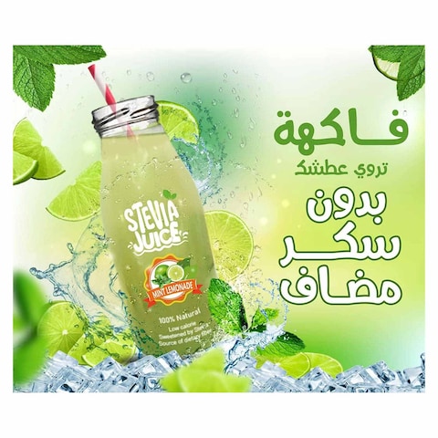 Stevia Juice Natural Lemon Mint Juice without Sugar - 300ml