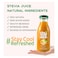 Stevia Juice Natural Mango Juice without Sugar - 300ml