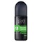 Trio Fresh Roll On Deodorant - 75ml + Soft Roll-On Deodorant - 75ml