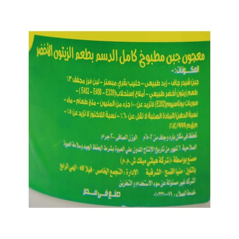 جبنة سبريد هيلثى مع زيتون أخضر - 200 جرام