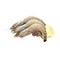 Golion Whole Shrimps 50/60 - 1 Kg