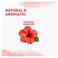 Lipton Hibiscus Herbal Tea - 20 Tea Bags
