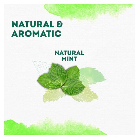 Lipton Peppermint Herbal Tea - 20 Tea Bags
