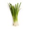 Belco Green Onion - 125gm