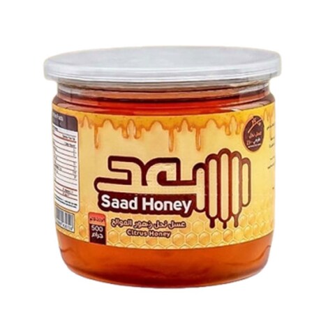 Saad Citrus Flowers Honey - 500 gm