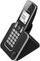 Panasonic Digital Cordless Telephone - Silver - KX-TGD310