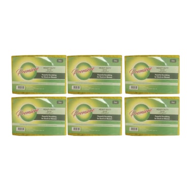 Premiere Scouring Sponge - 6 Pieces