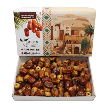 Natures Wonders Wadi Dates - 625 gram