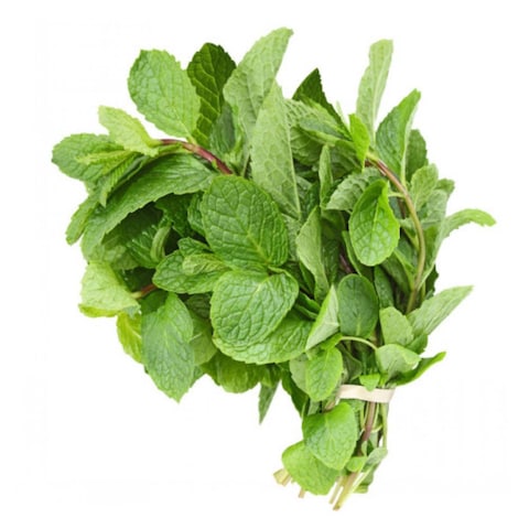 نعناع طازج