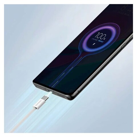 Riversong Lotus 10 Type-C to Type-C Charging Cable 1 Meter - Light Grey - CT53