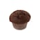 Chocolate Muffins