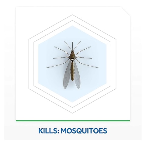 Raid Mosquito Killer Liquid Holder and Refill - 4ml