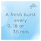 Glade Oud Desire Auto Refill - 2 Pieces + Blooming Peony Auto Refill - 269ml