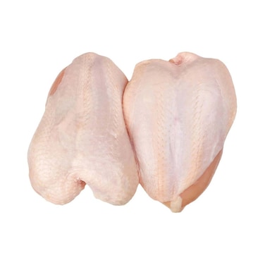 صدور فراخ سول