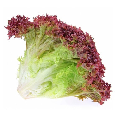 Top Crops Red Leaf Lettuce - 200 gm